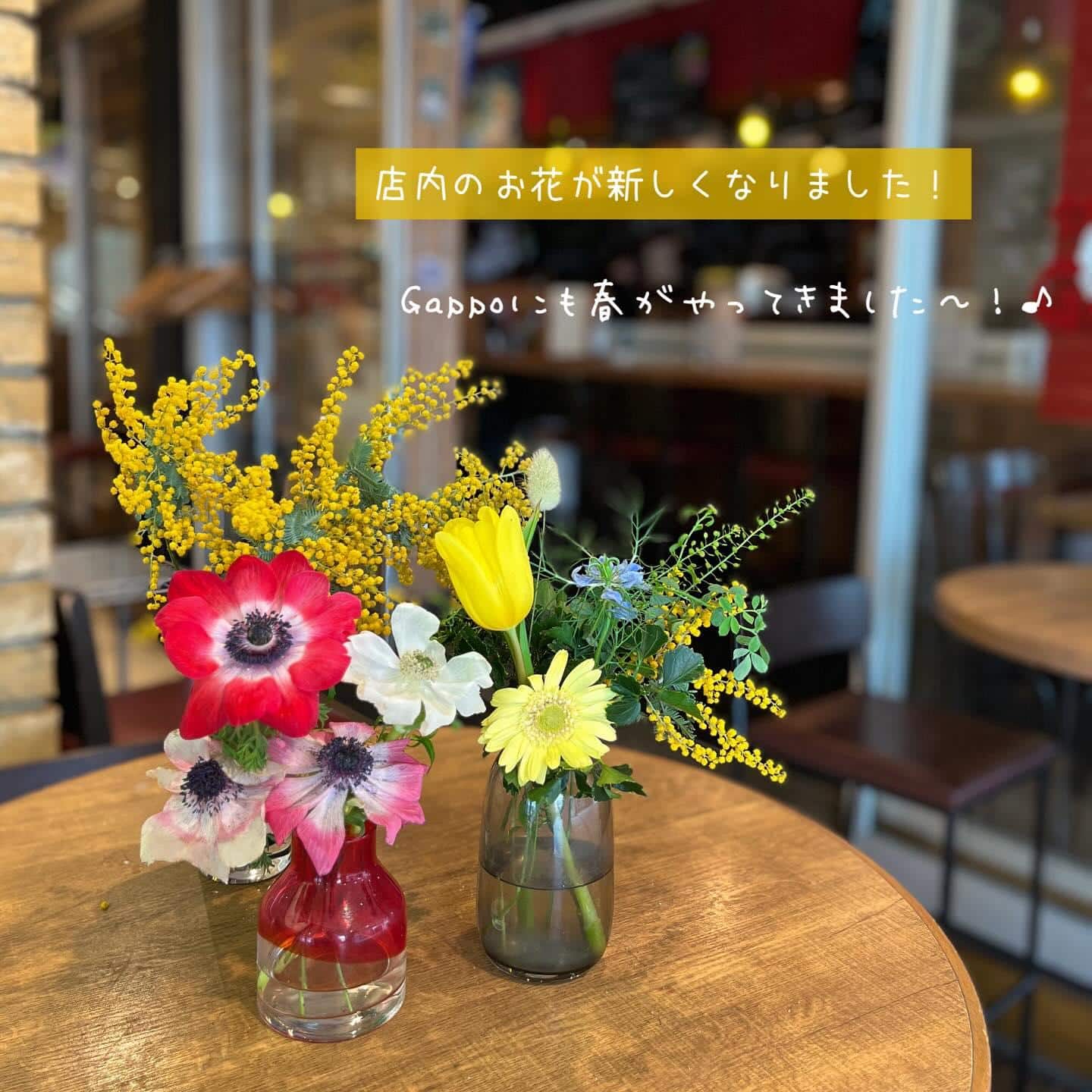 【お店のお花が新しくなりました！&休業のお知らせ】@桜木町/みなとみらい/バル/ワイン/ハッピーアワー/飲み会/デート/…